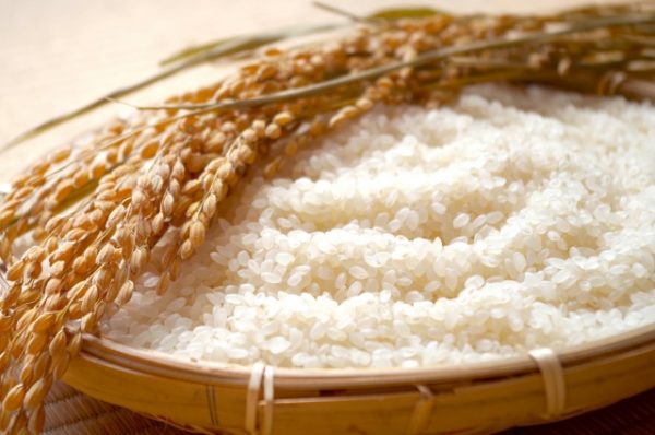玄米は精米すると減る？お得はどっち？