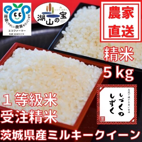 令和４年産茨城県産ミルキークイーンしづくのしずく　５㎏