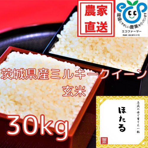 売り手満月たぬき様専用　令和5年福井県産ミルキークイーン玄米30kg 米・雑穀・粉類