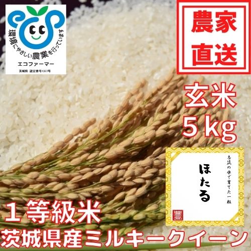 令和4年産茨城県産ミルキークイーン（玄米）ほたる　5kg
