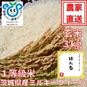 令和5年産茨城県産ミルキークイーン（玄米）ほたる　3kg