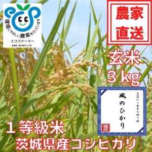 令和5年産茨城県産コシヒカリ（玄米）風のひかり３kg