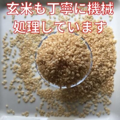 令和5年産茨城県産コシヒカリ（玄米）風のひかり３kg | お米通販サイト