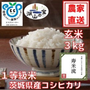 令和5年産茨城県産コシヒカリ（玄米）　寿米流（スマイル）3kg
