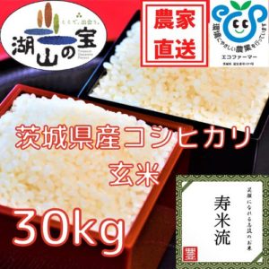 令和4年産茨城県産コシヒカリ　寿米流（玄米）30kg