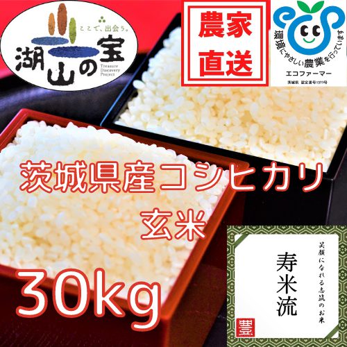 令和4年産茨城県産コシヒカリ 寿米流（玄米）30kg | お米通販サイト