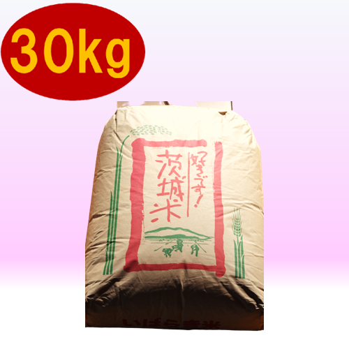 収穫したて④　茨城産　令和元年新米ミルキークイーン玄米30K 先行予約  10月出荷分  令和7年産 新米 茨城県産 ミルキークイーン 12kg ( 5kg × 2袋 + 2kg × 1袋 ) 米  お米 白米 茨城県産 ごはん こめ 国産 ミルキークイーン ふっくら もっちり 12kg 10kg 2kg