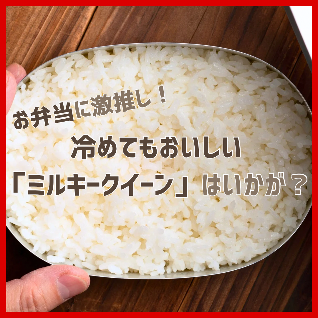 お弁当に激推し！冷めてもおいしい「ミルキークイーン」はいかが？