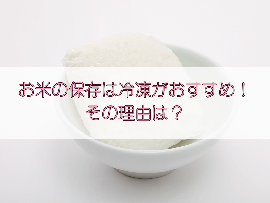 お米の保存は冷凍がおすすめ！その理由は？